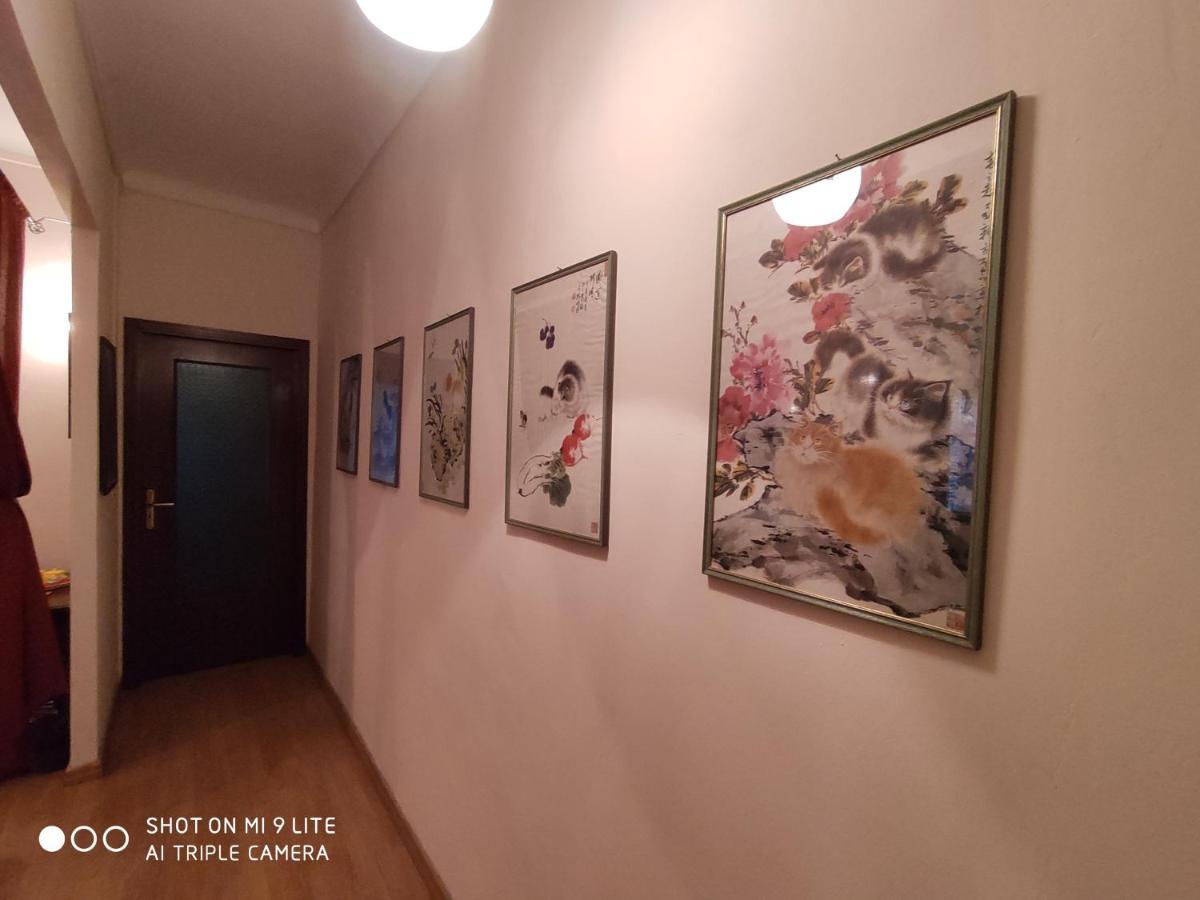Ex Ostu Impero: Vino, Tartufo Ed Ospitalita Apartman La Morra Kültér fotó